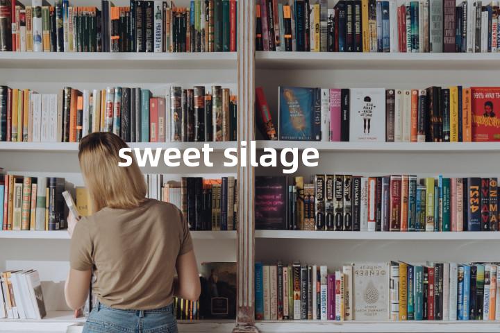 sweet silage单词图解，单词释义场景配图