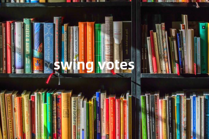 swing votes单词图解，单词释义场景配图