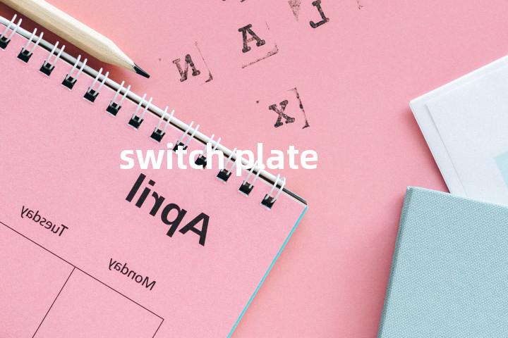 switch plate单词图解，单词释义场景配图
