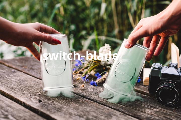 switch-blade单词图解，单词释义场景配图