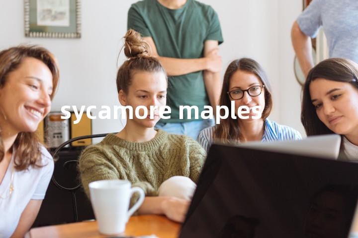 sycamore maples单词图解，单词释义场景配图