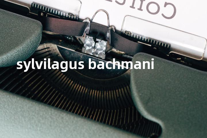 sylvilagus bachmani单词图解，单词释义场景配图
