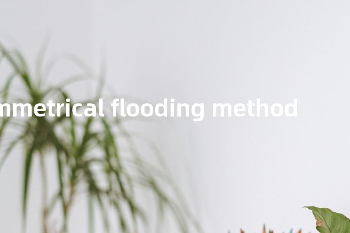 symmetrical flooding method单词图解，单词释义场景配图
