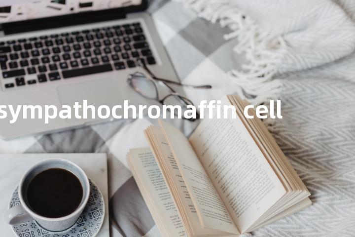 sympathochromaffin cell单词图解，单词释义场景配图
