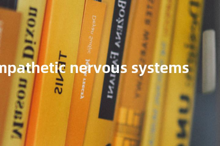 sympathetic nervous systems单词图解，单词释义场景配图
