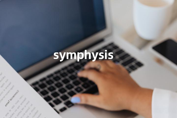 symphysis