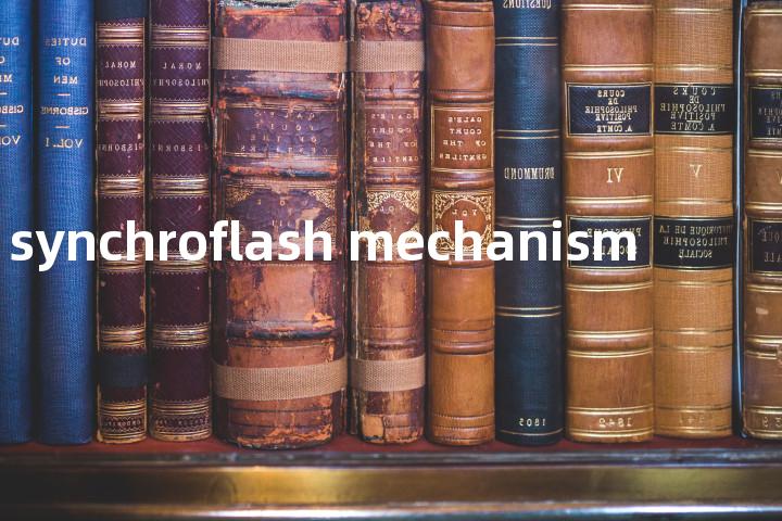 synchroflash mechanism单词图解，单词释义场景配图