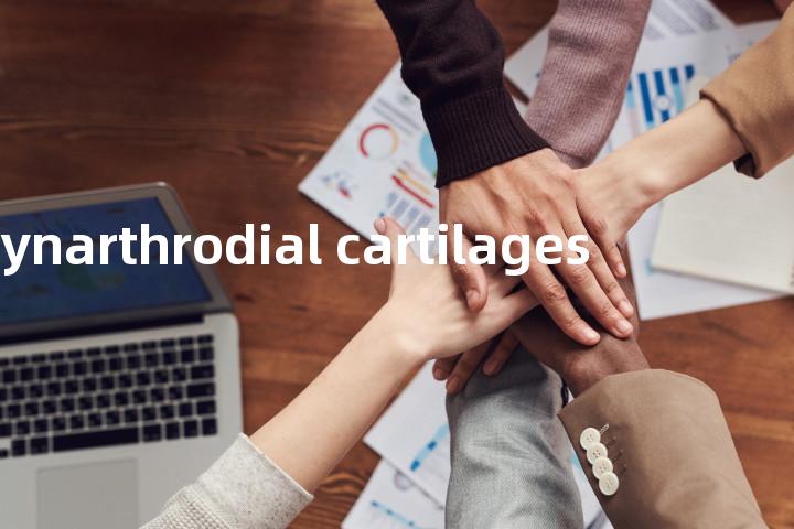 synarthrodial cartilages单词图解，单词释义场景配图