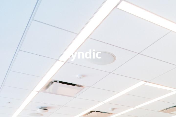 syndic