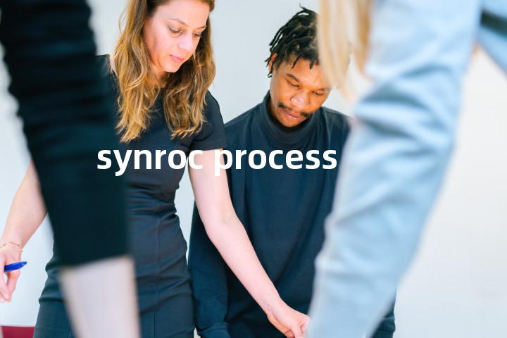 synroc process单词图解，单词释义场景配图