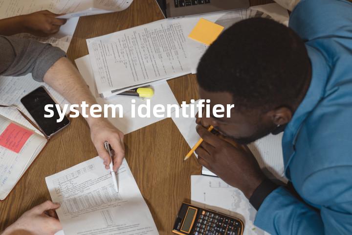 system identifier单词图解，单词释义场景配图