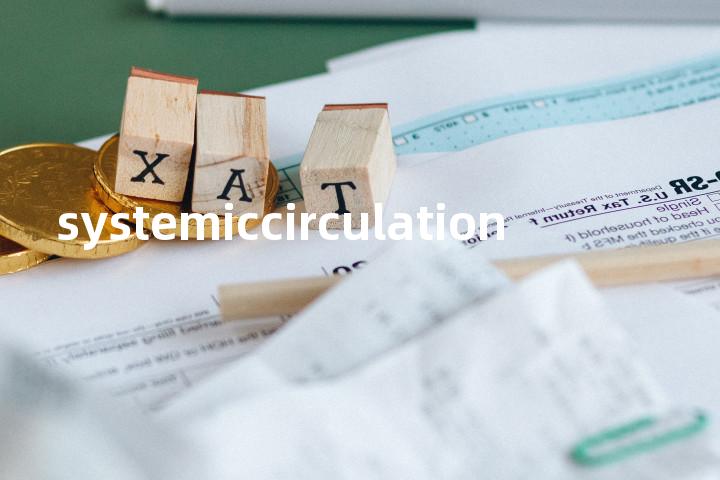 systemiccirculation单词图解，单词释义场景配图
