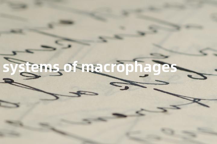 systems of macrophages单词图解，单词释义场景配图