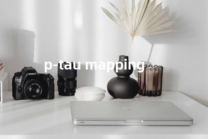 p-tau mapping单词图解，单词释义场景配图