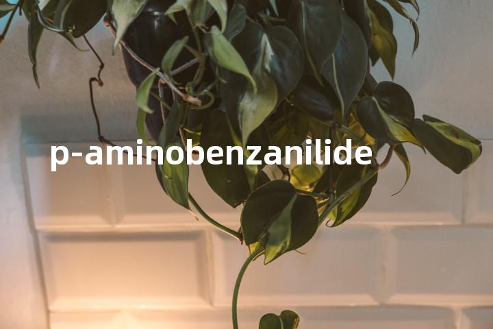 p-aminobenzanilide单词图解，单词释义场景配图
