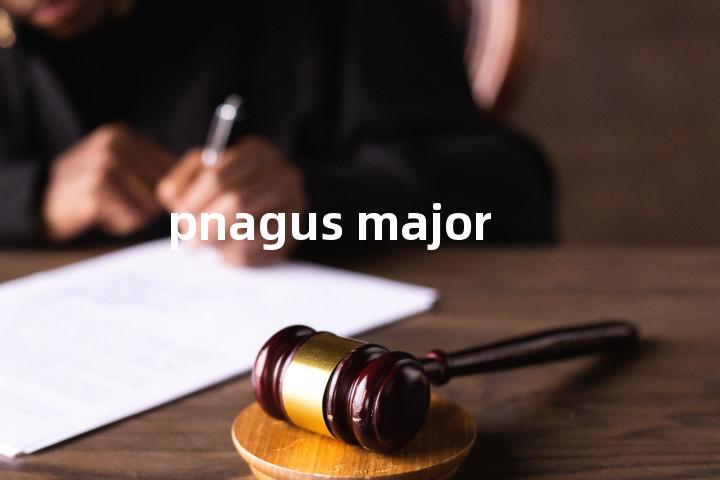 pnagus major单词图解，单词释义场景配图