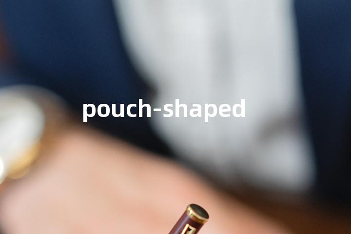 pouch-shaped单词图解，单词释义场景配图