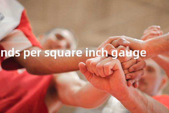 pounds per square inch gauge单词图解，单词释义场景配图