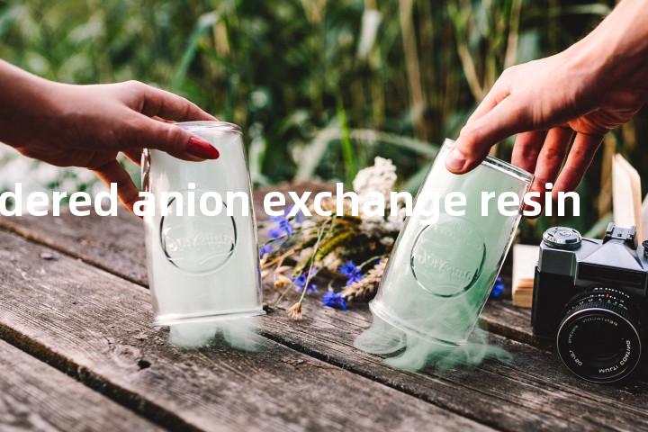 powdered anion exchange resin单词图解，单词释义场景配图