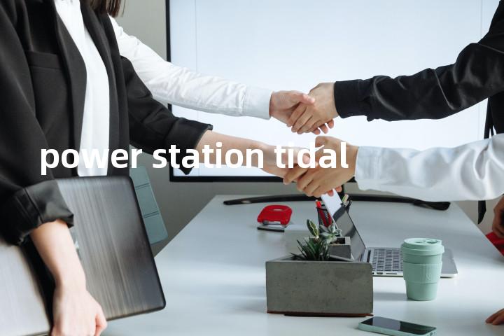 power station tidal单词图解，单词释义场景配图