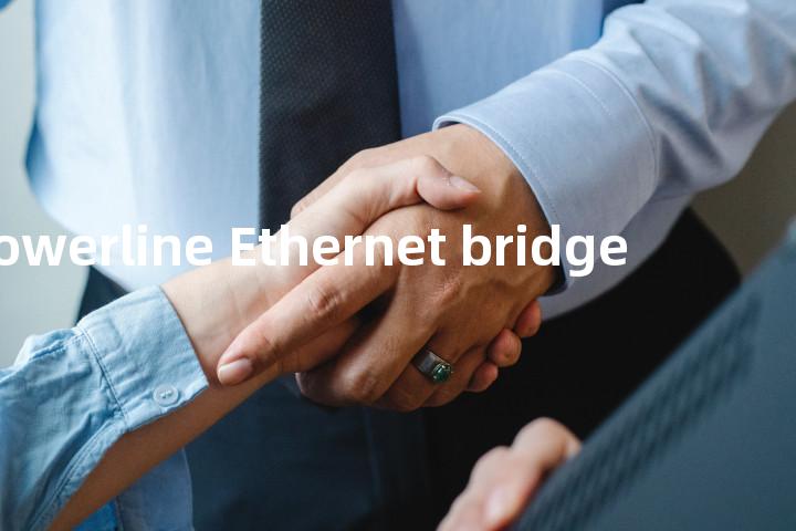 powerline Ethernet bridge单词图解，单词释义场景配图