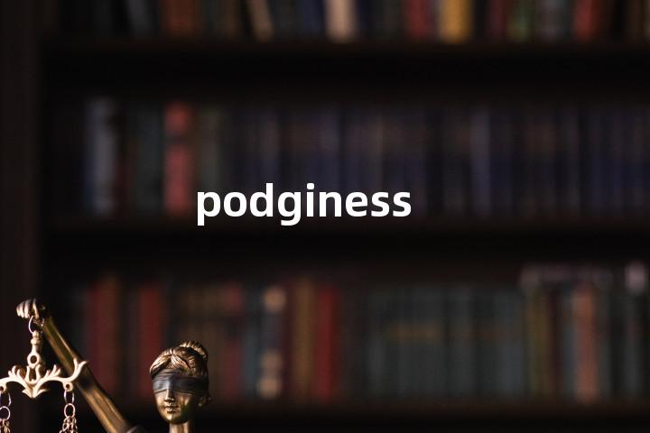 podginess单词图解，单词释义场景配图