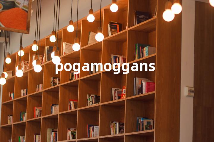 pogamoggans单词图解，单词释义场景配图