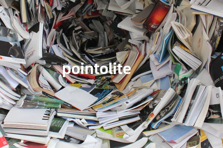 pointolite单词图解，单词释义场景配图