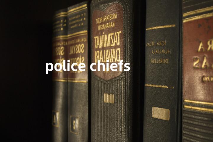 police chiefs单词图解，单词释义场景配图