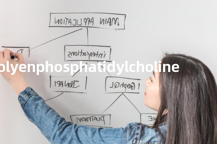polyenphosphatidylcholine单词图解，单词释义场景配图