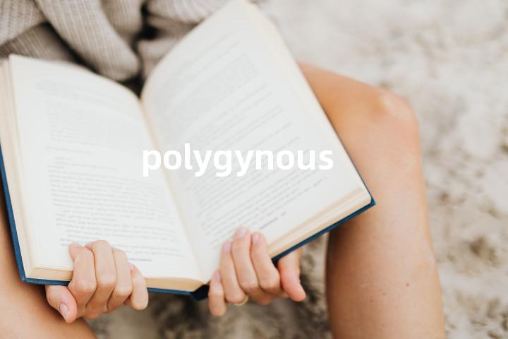 polygynous单词图解，单词释义场景配图