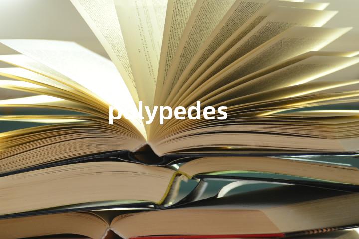 polypedes单词图解，单词释义场景配图