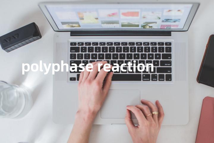 polyphase reaction单词图解，单词释义场景配图