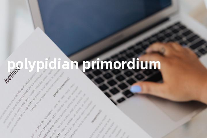 polypidian primordium单词图解，单词释义场景配图
