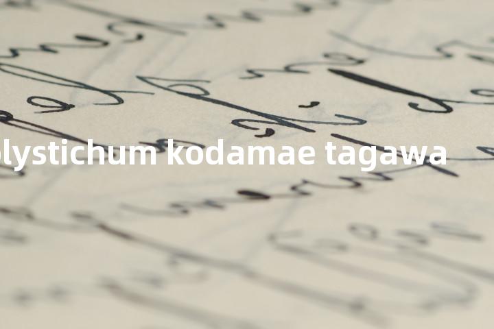 polystichum kodamae tagawa单词图解，单词释义场景配图