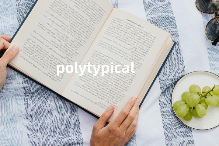 polytypical单词图解，单词释义场景配图
