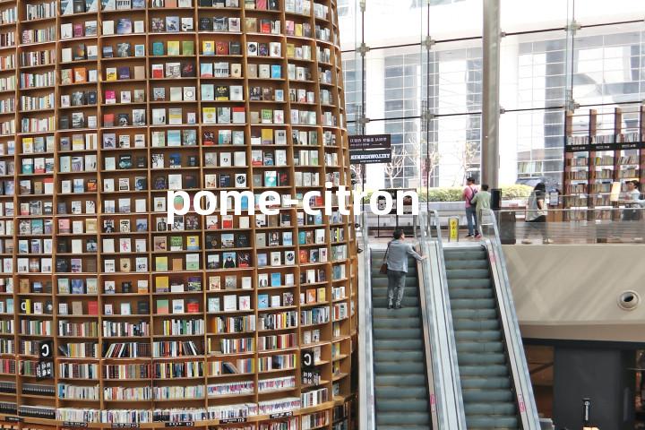 pome-citron单词图解，单词释义场景配图