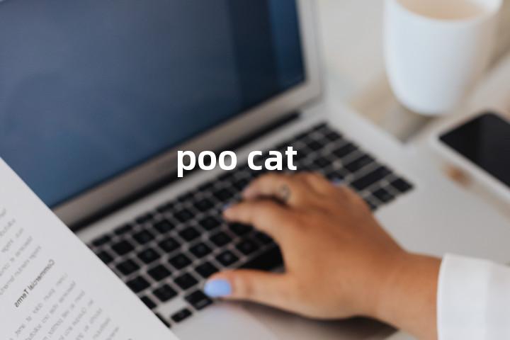 poo cat单词图解，单词释义场景配图