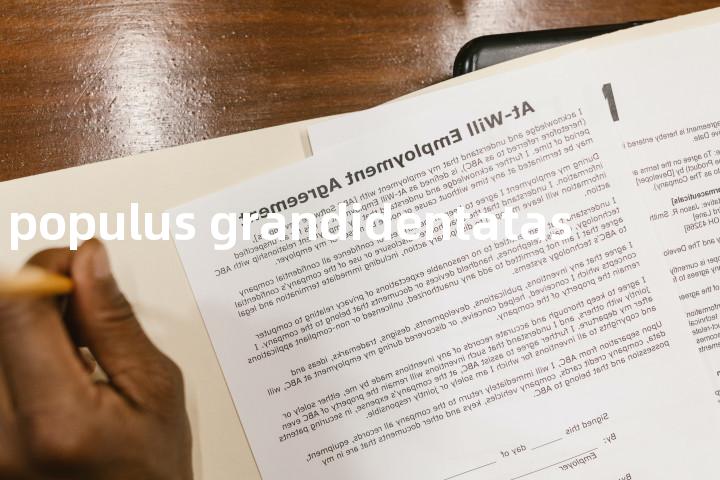 populus grandidentatas单词图解，单词释义场景配图
