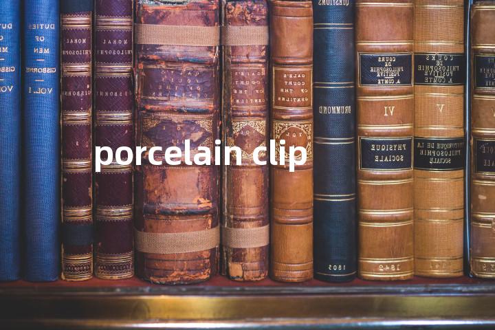porcelain clip单词图解，单词释义场景配图