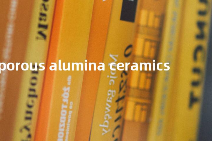 porous alumina ceramics单词图解，单词释义场景配图