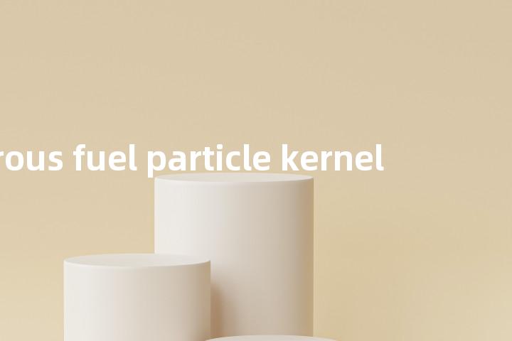 porous fuel particle kernel单词图解，单词释义场景配图
