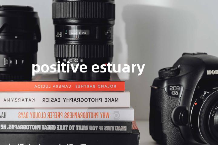 positive estuary单词图解，单词释义场景配图