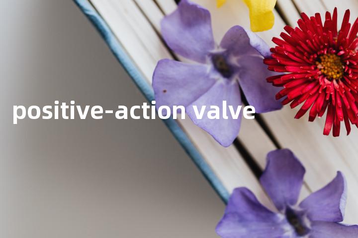 positive-action valve单词图解，单词释义场景配图