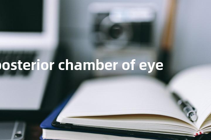 posterior chamber of eye单词图解，单词释义场景配图