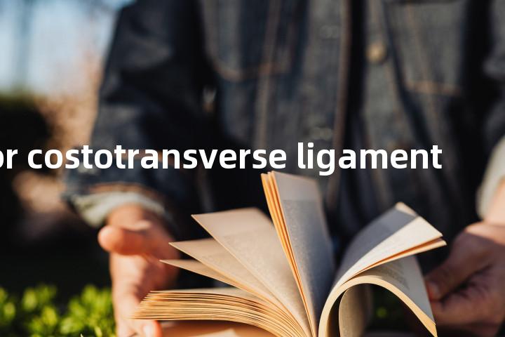 posterior costotransverse ligament单词图解，单词释义场景配图