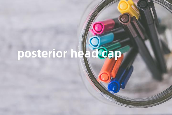 posterior head cap单词图解，单词释义场景配图