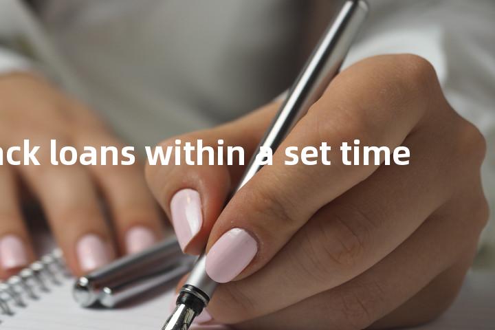 pay back loans within a set time单词图解，单词释义场景配图