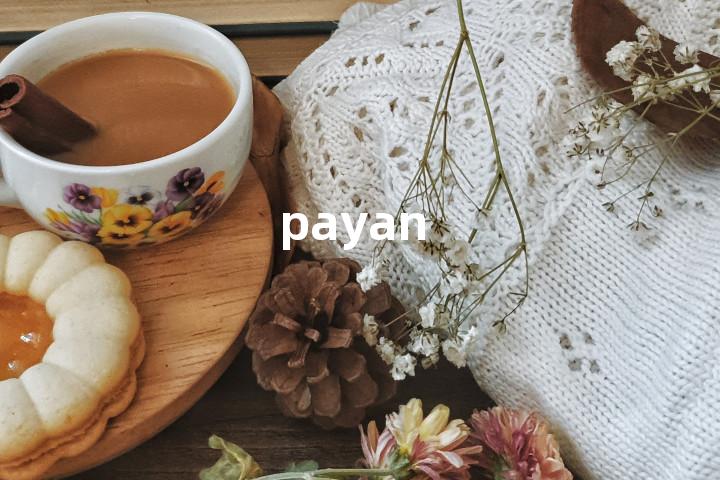 payan单词图解，单词释义场景配图