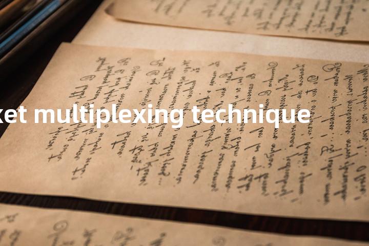 packet multiplexing technique单词图解，单词释义场景配图